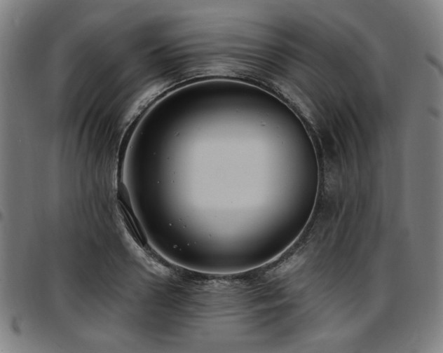X0000097590938200802291215