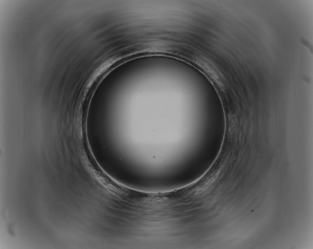 X0000097590939200802291215