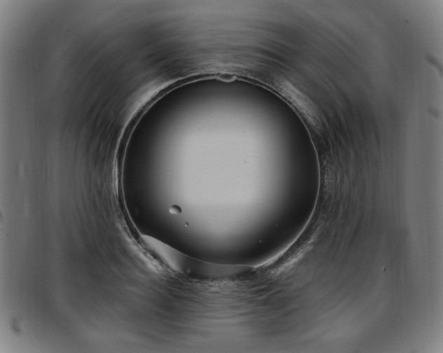 X0000097590940200802291216