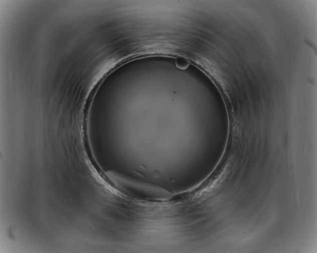 X0000097590941200802291216