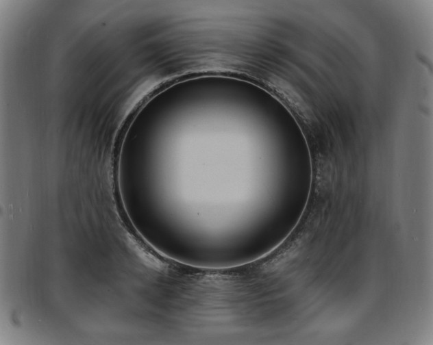 X0000097590942200802291216