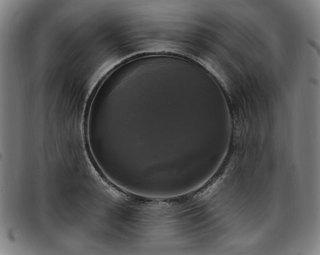 X0000097590943200802291216