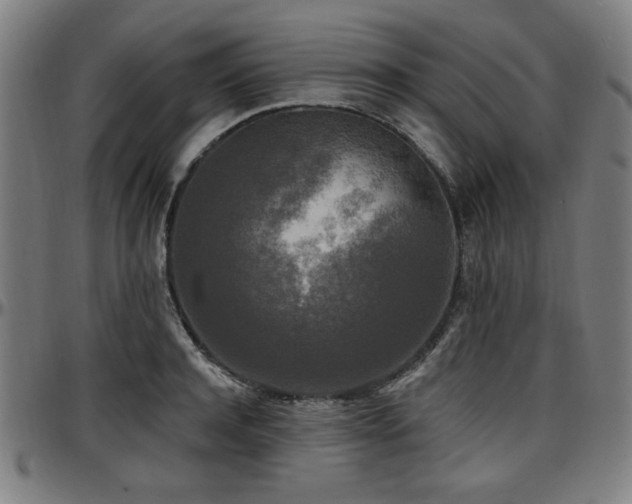 X0000097590944200802291216