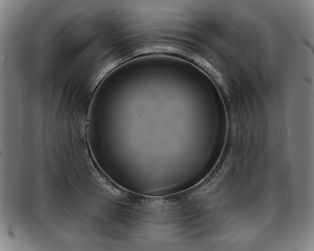 X0000097590945200802291216