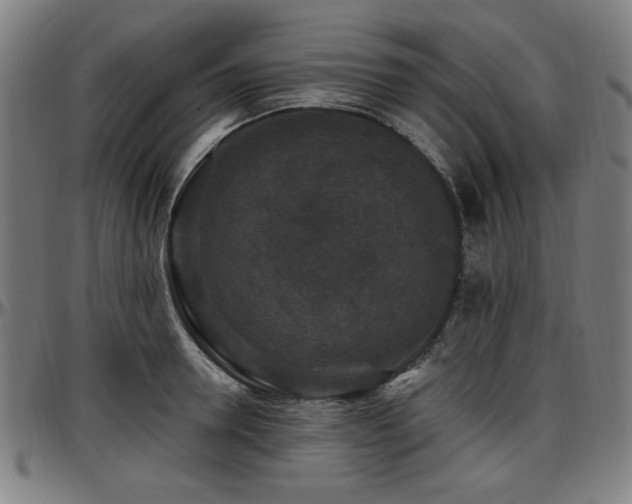 X0000097590946200802291216
