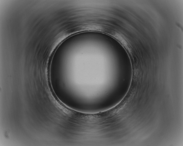 X0000097590947200802291216