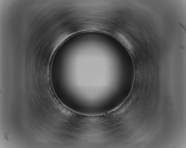 X0000097590948200802291216