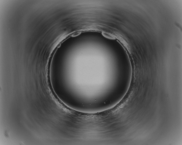X0000097590949200802291216