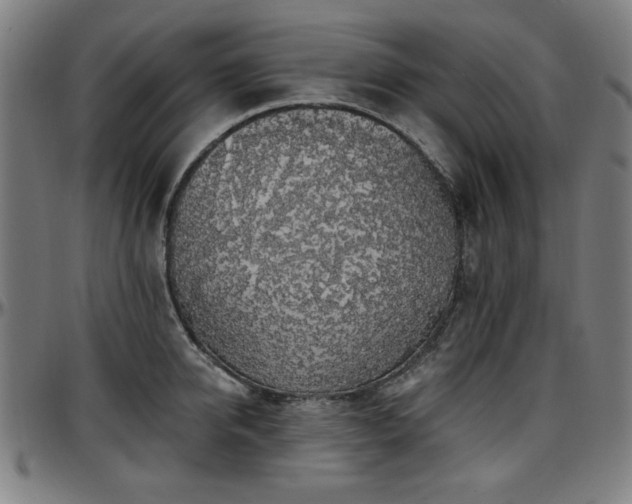 X0000097590950200802291216