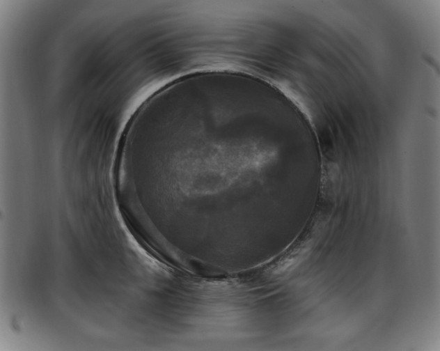 X0000097590951200802291216