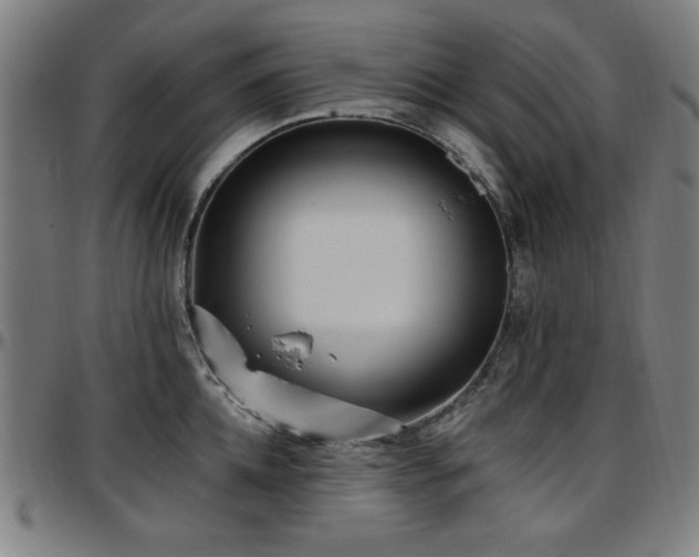 X0000097590952200802291216