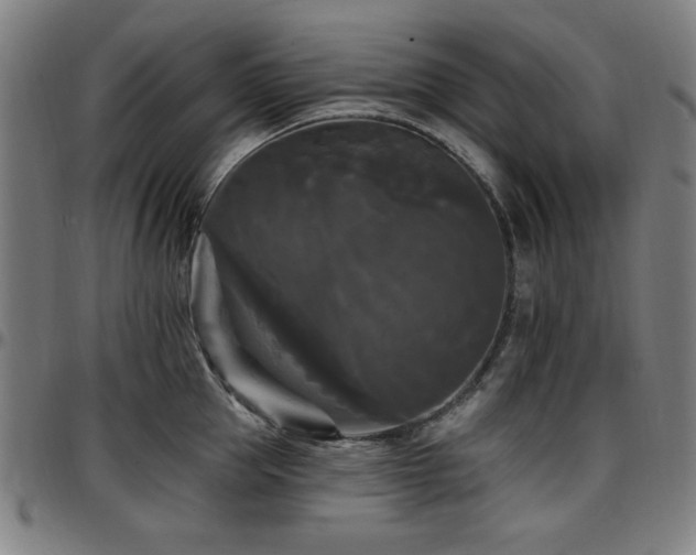 X0000097590953200802291216