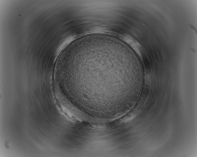 X0000097590954200802291216