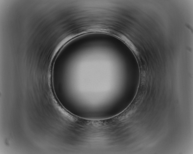 X0000097590955200802291216
