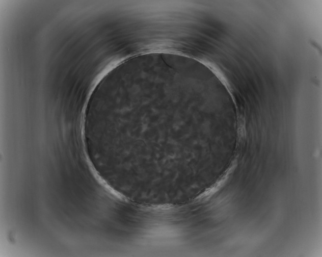 X0000097590957200802291216