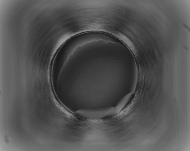 X0000097590958200802291216