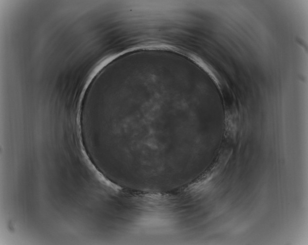 X0000097590959200802291216