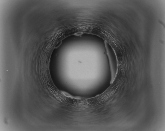 X0000097590961200802291215