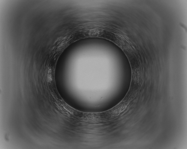X0000097590962200802291215