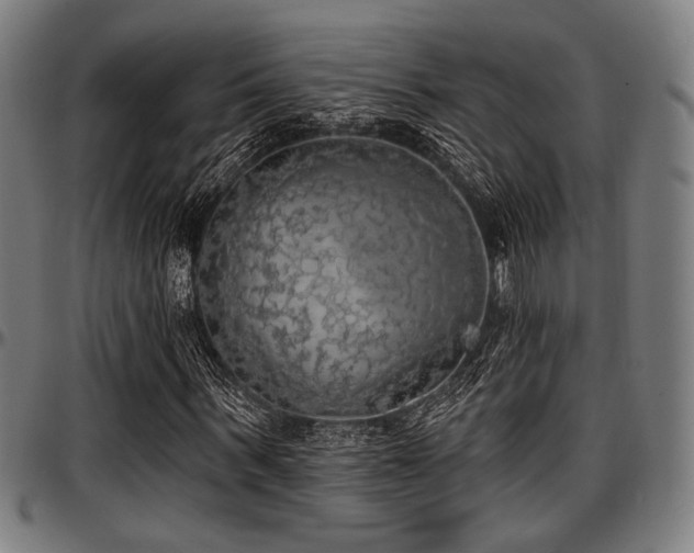 X0000097590963200802291215