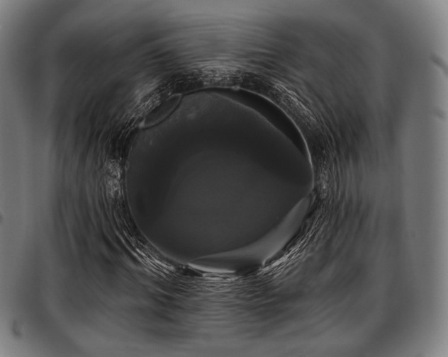 X0000097590964200802291215