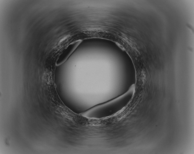 X0000097590965200802291215