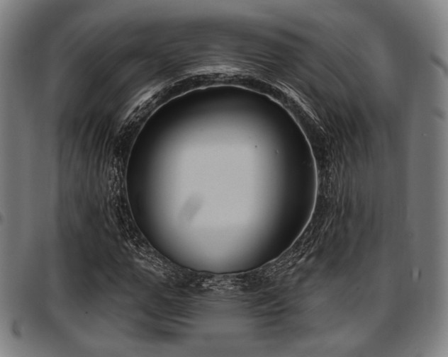 X0000097590967200802291215
