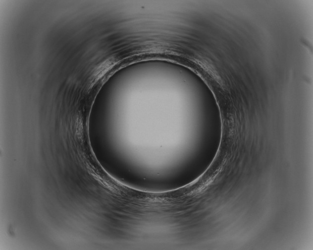 X0000097590969200802291215
