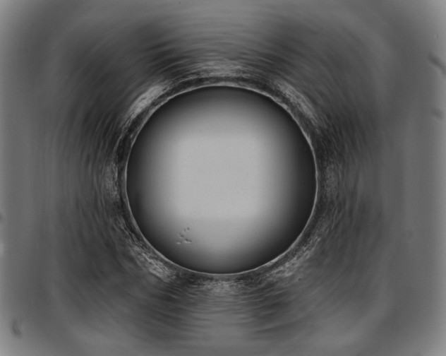 X0000097590970200802291215