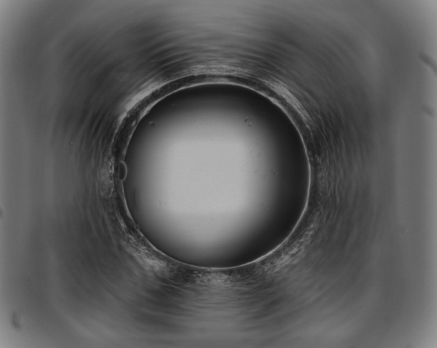 X0000097590971200802291215