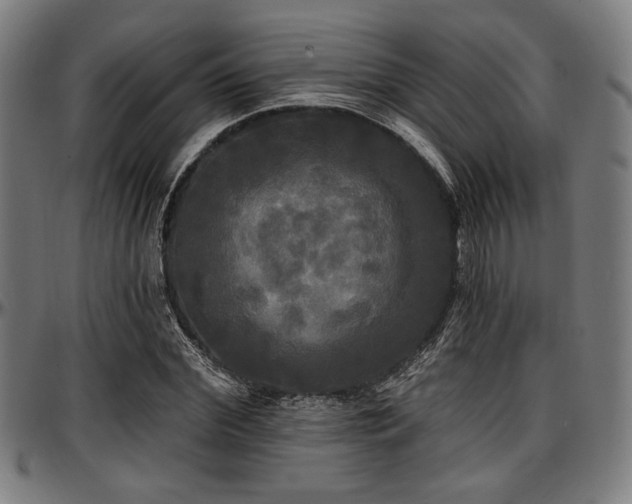 X0000097590972200802291215