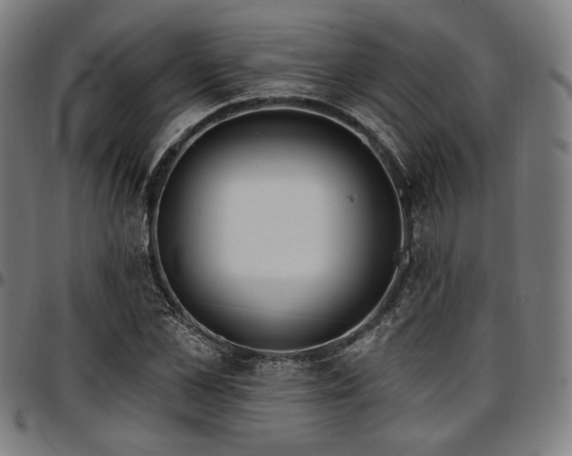 X0000097590973200802291215