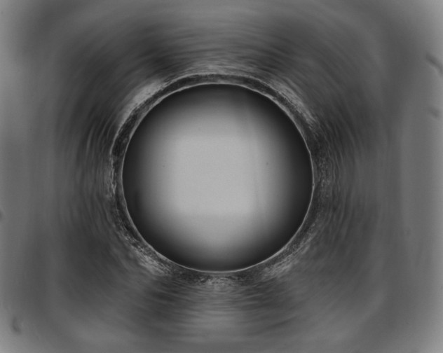 X0000097590974200802291215