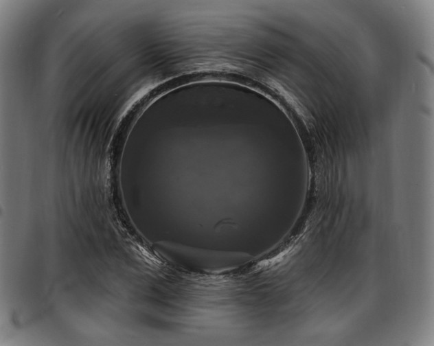 X0000097590975200802291215