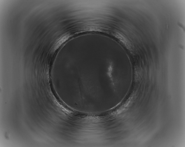 X0000097590977200802291215