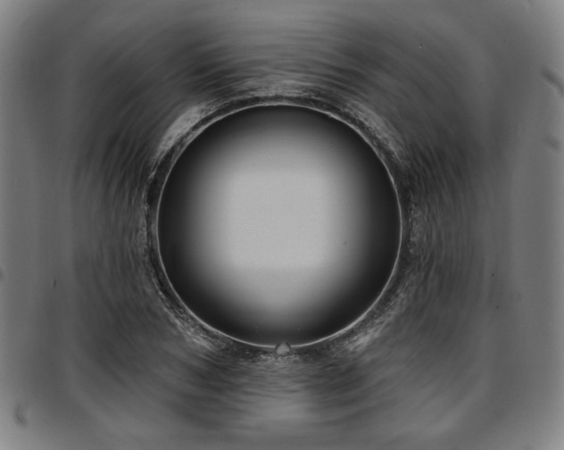 X0000097590978200802291215