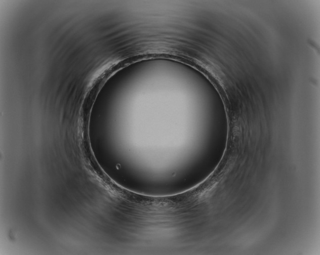 X0000097590979200802291215