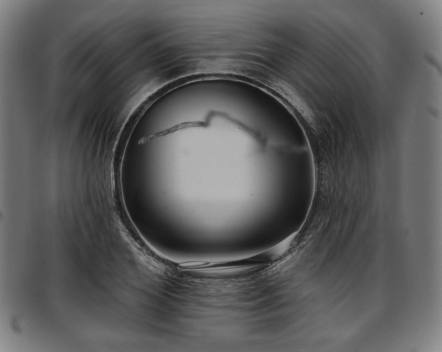 X0000097590980200802291215