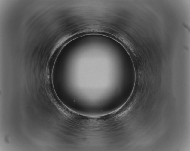 X0000097590981200802291215