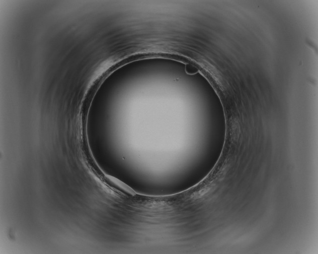 X0000097590982200802291215