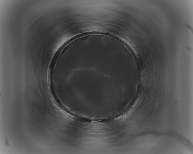 X0000097590983200802291215