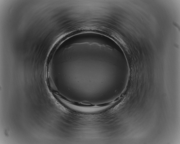 X0000097590984200802291215