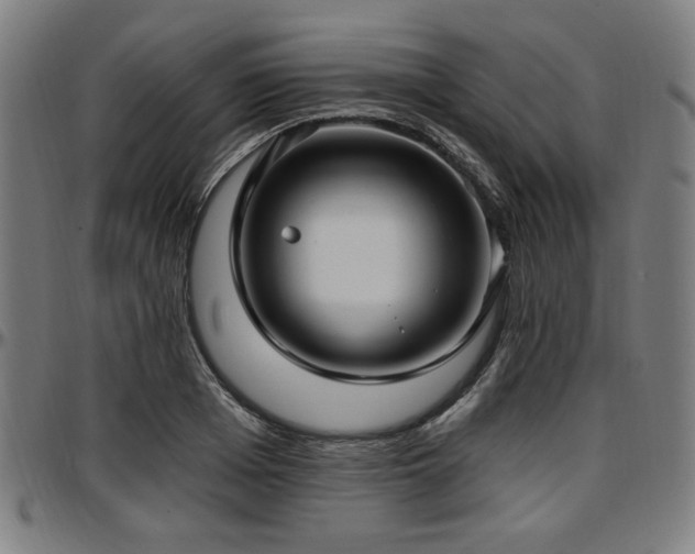 X0000097590985200802291215