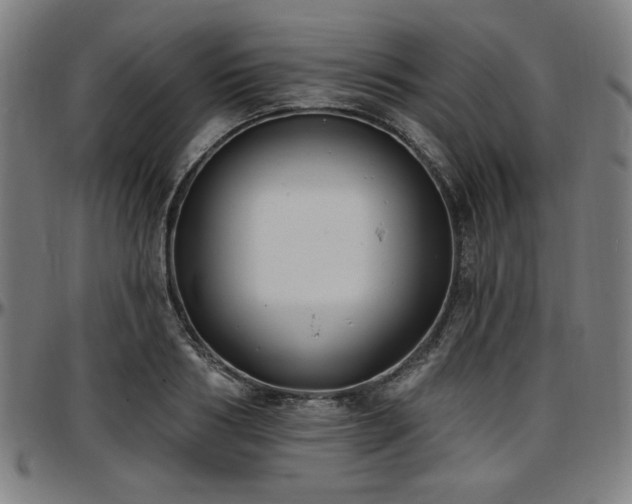 X0000097590986200802291215