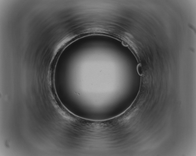 X0000097590987200802291215