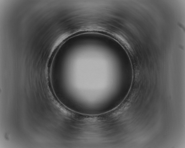 X0000097590990200802291215