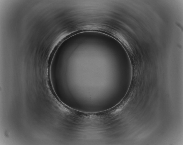 X0000097590992200802291215
