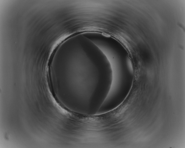 X0000097590995200802291215