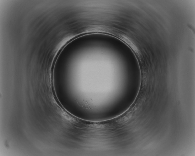 X0000097590996200802291215
