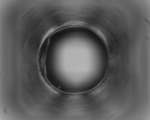 X0000097590997200802291215